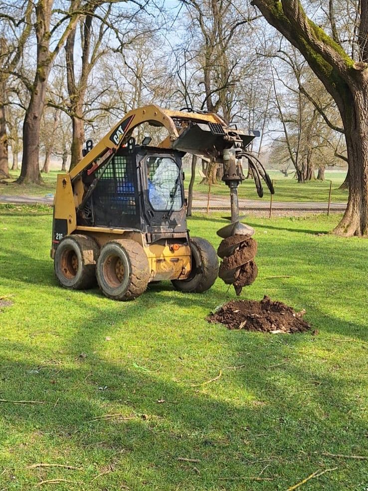 AĞAÇLANDIRMA ÇALIŞMASI YAPILDI